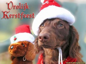 Bijna kerst; hoe brengt je hond de feestdagen door?