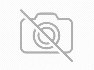 Bijna vakantie; gaat je hond mee of niet?