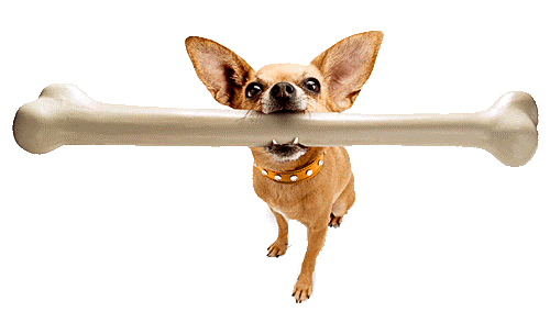 Afbeeldingsresultaat voor honden kluif